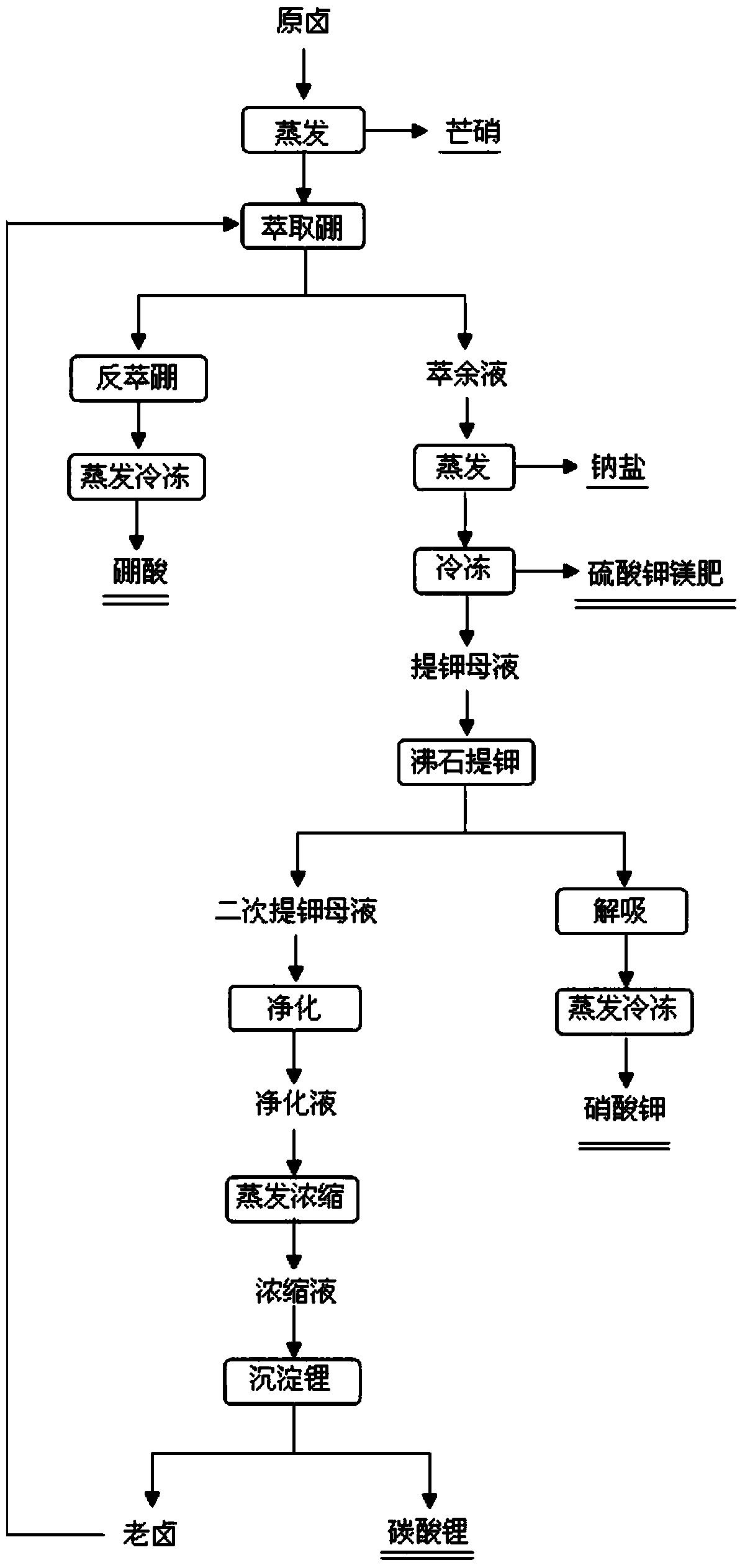 从硫酸钠亚型盐湖联合提取钾镁肥、硼酸和碳酸锂的方法