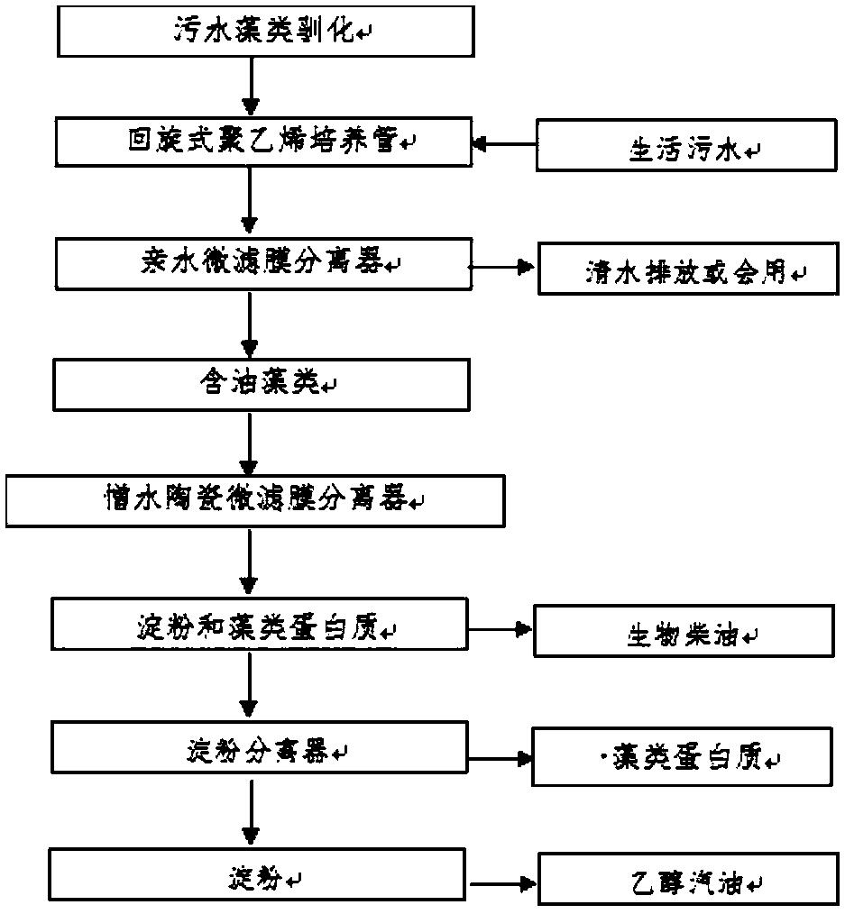 一种利用生活污水培养速生藻类生产生物燃料的工艺方法