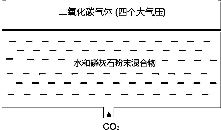 一种提高磷肥磷元素释放效率的方法