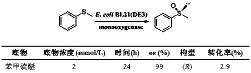 一种硫醚单加氧酶PMO-3546及其应用