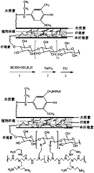 一种植物纤维基固态胺吸附材料及其制备方法和应用