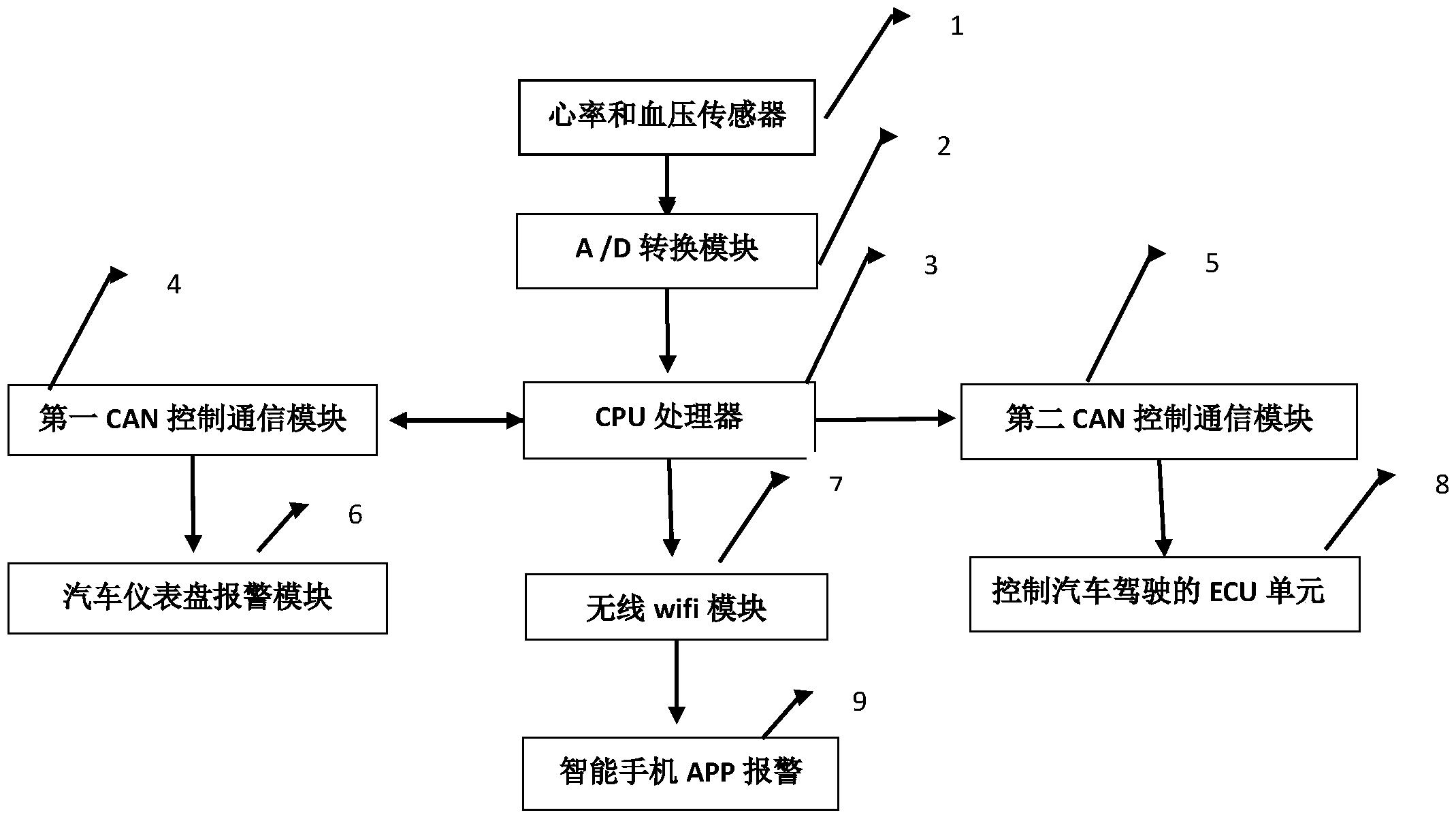 汽车安全带