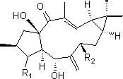 续随子二萜醇衍生物的转化方法及其在制备抗肿瘤药物中的用途