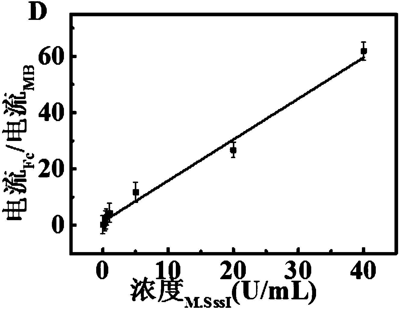 一种电化学生物传感器的制备方法及检测DNA甲基转移酶活性的方法