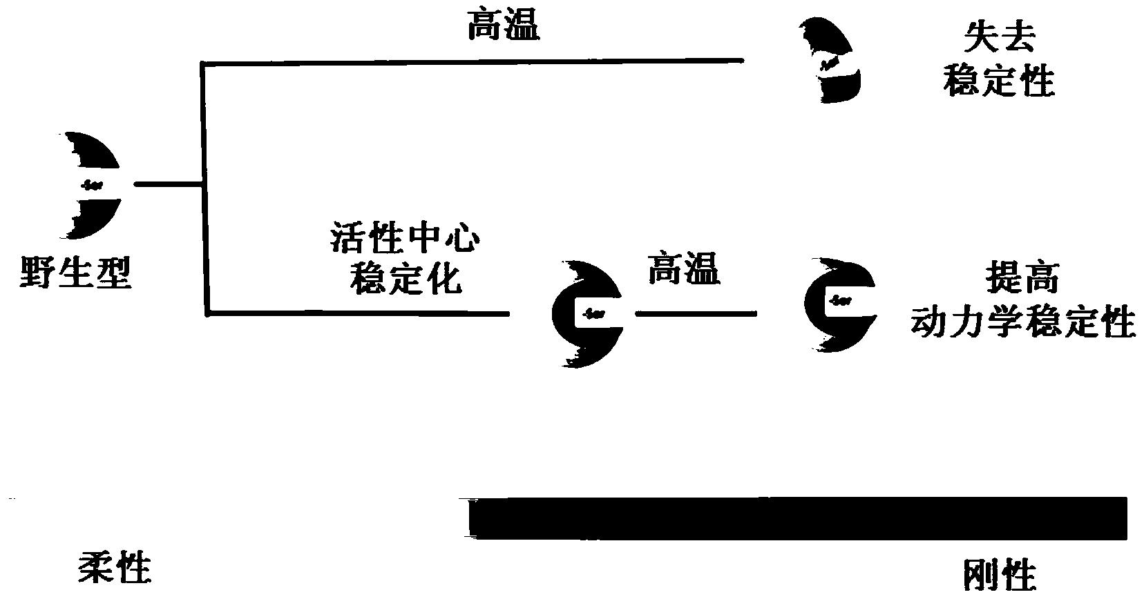 一种高效提高酶热动力学稳定性的通用策略