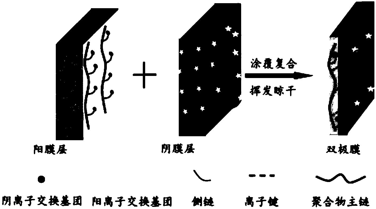 一种双极膜及其制备方法