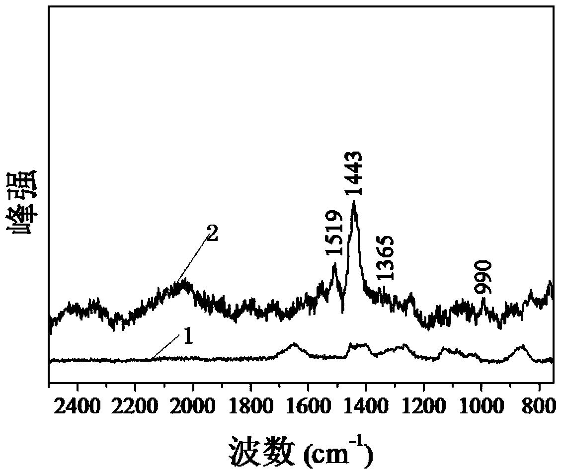 基于丙烯酰基甘氨酰胺的高强度超分子导电水凝胶及其制备方法