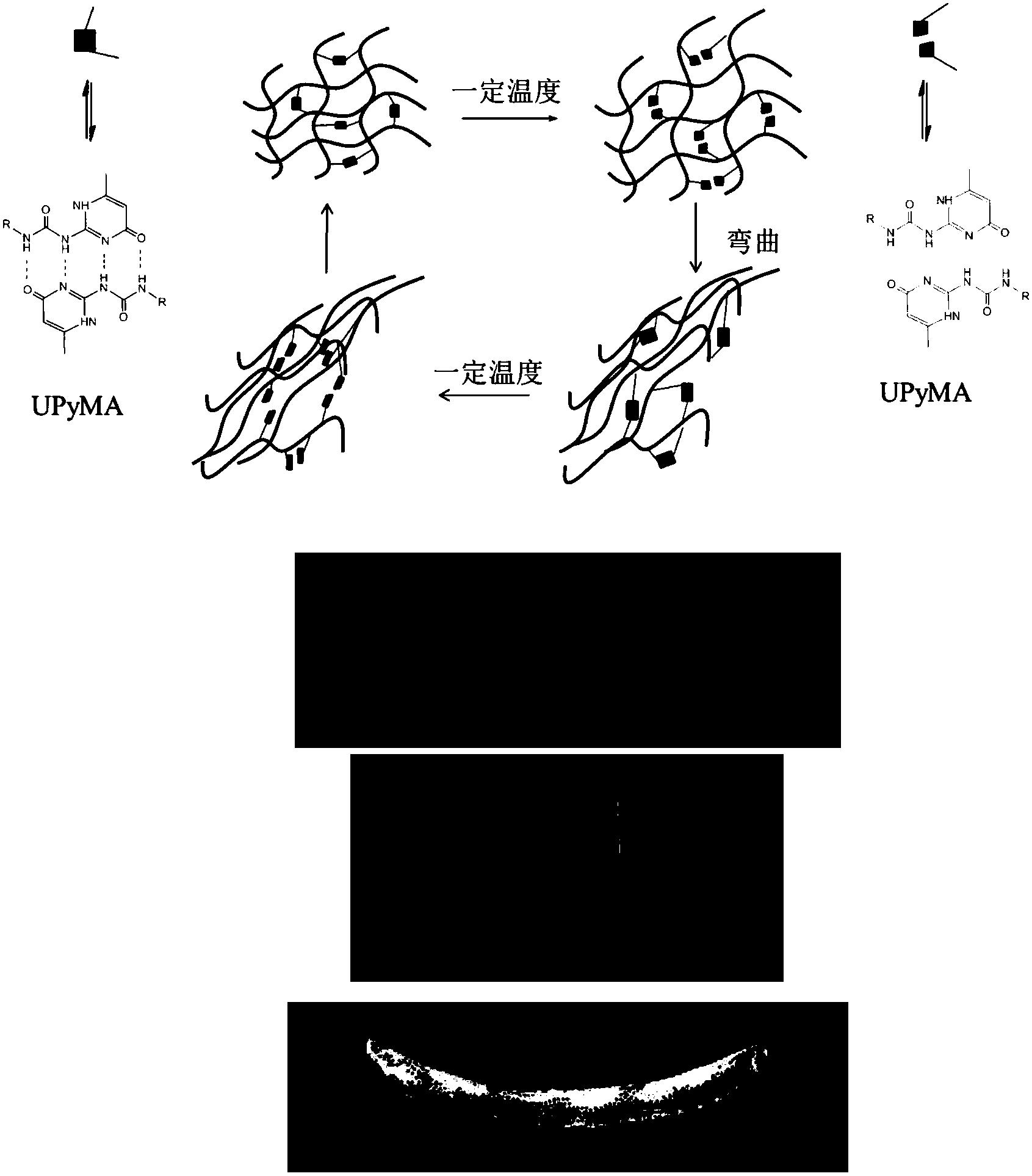 一种基于氢键作用的热响应形状记忆水凝胶及其制备方法