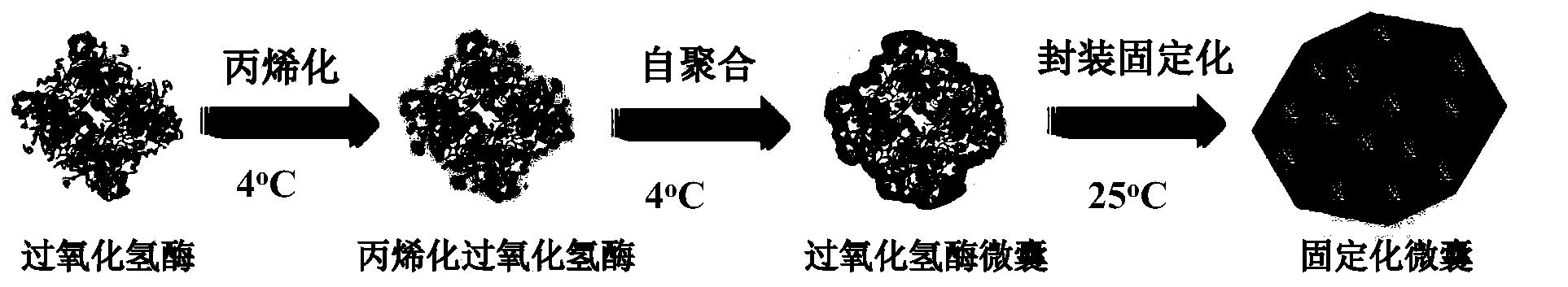 一种复合仿生矿化纳米生物催化剂的制备方法