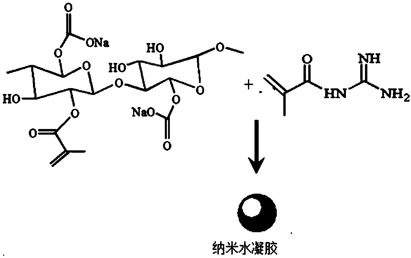 一种安全高效持久抗菌纳米水凝胶及其制备方法