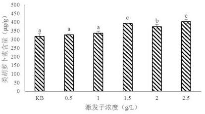 一种提高蛹虫草Cm04类胡萝卜素产量的固体发酵方法