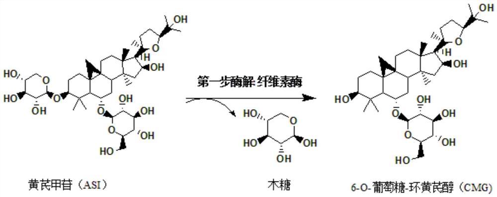 一种利用两步酶解法转化黄芪甲苷制备环黄芪醇的方法