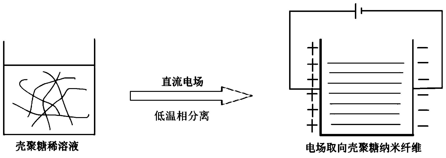 一种电场取向壳聚糖纳米纤维及其制备方法与应用