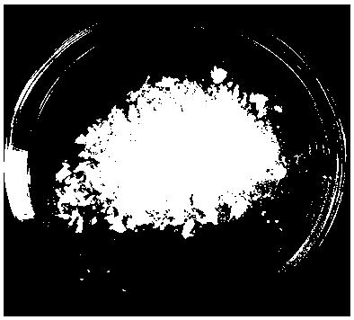 一种α-谷氨酸胆固醇酯凝胶的制备方法