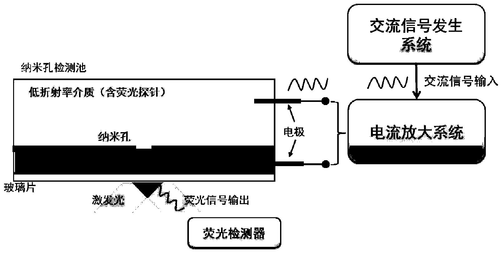 一种交流电模式下的纳米孔单分子荧光成像装置及方法