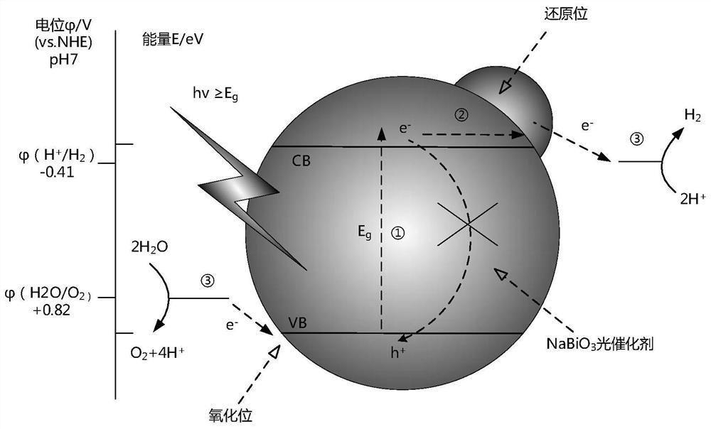 基于金属纳米颗粒增强NaBiO3可见光催化作用的方法