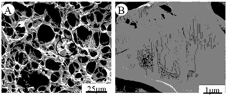 一种孔径可控的天然高分子基3D多孔复合支架的制备方法