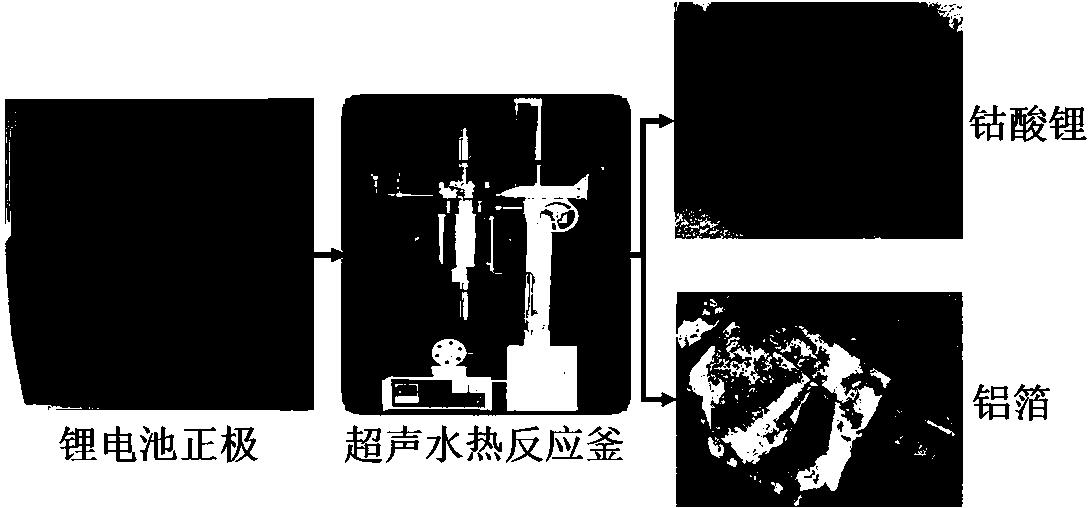 废锂电池电极组成材料的超声水热分离工艺