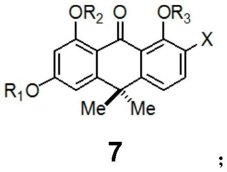 一种蒽环类化合物及其制备方法