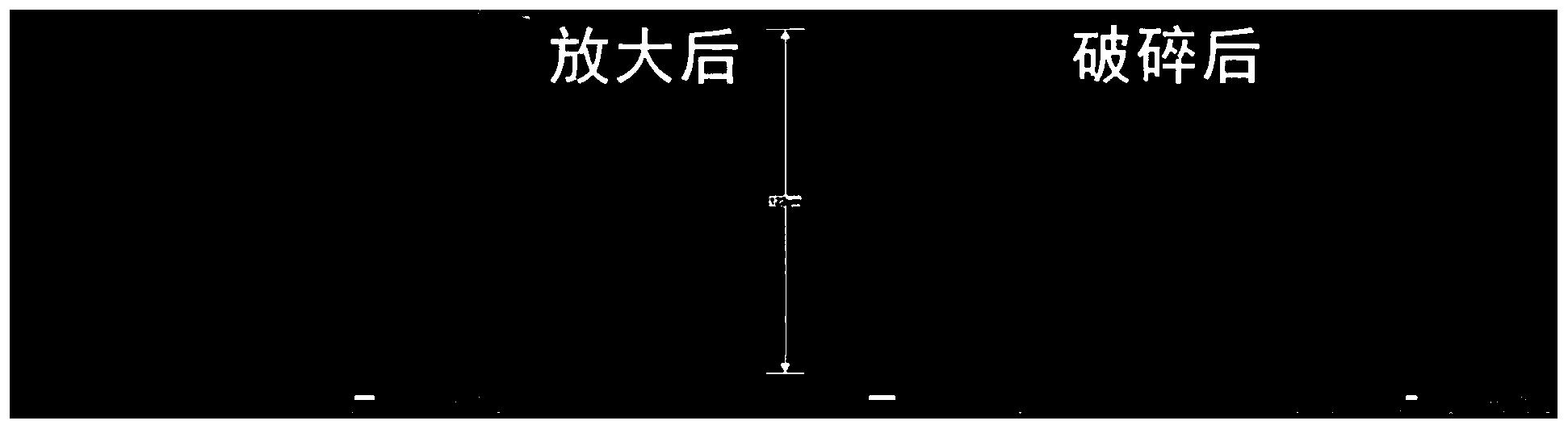 一种苹果状中空分子筛微球及其制备方法和应用