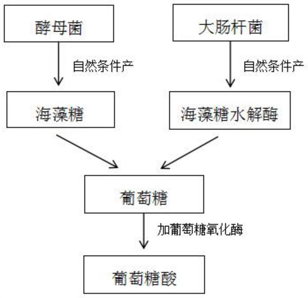 一种利用酵母产海藻糖制备生物燃料电池的方法