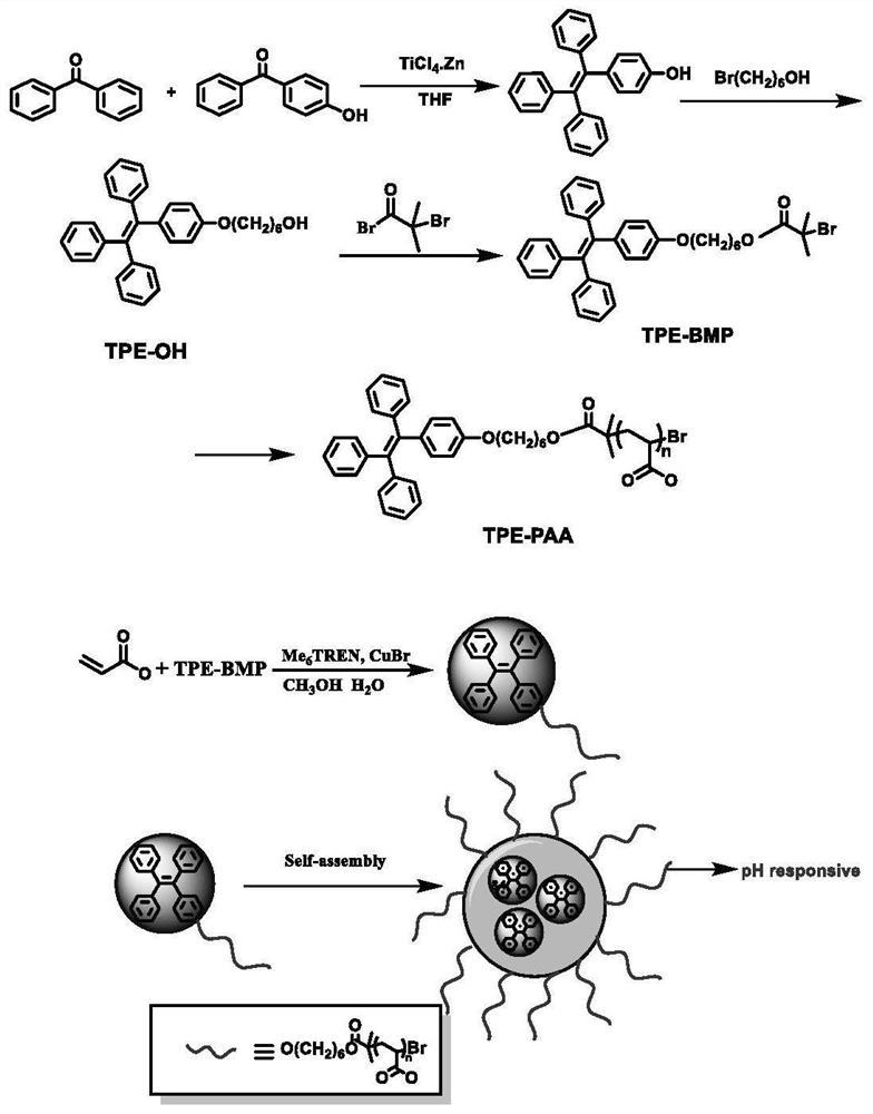pH响应型AIE荧光纳米聚合物量子点的合成方法及应用