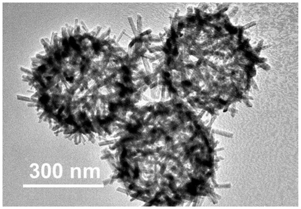 一种棒状硫化铋中空纳米微球及其制备方法