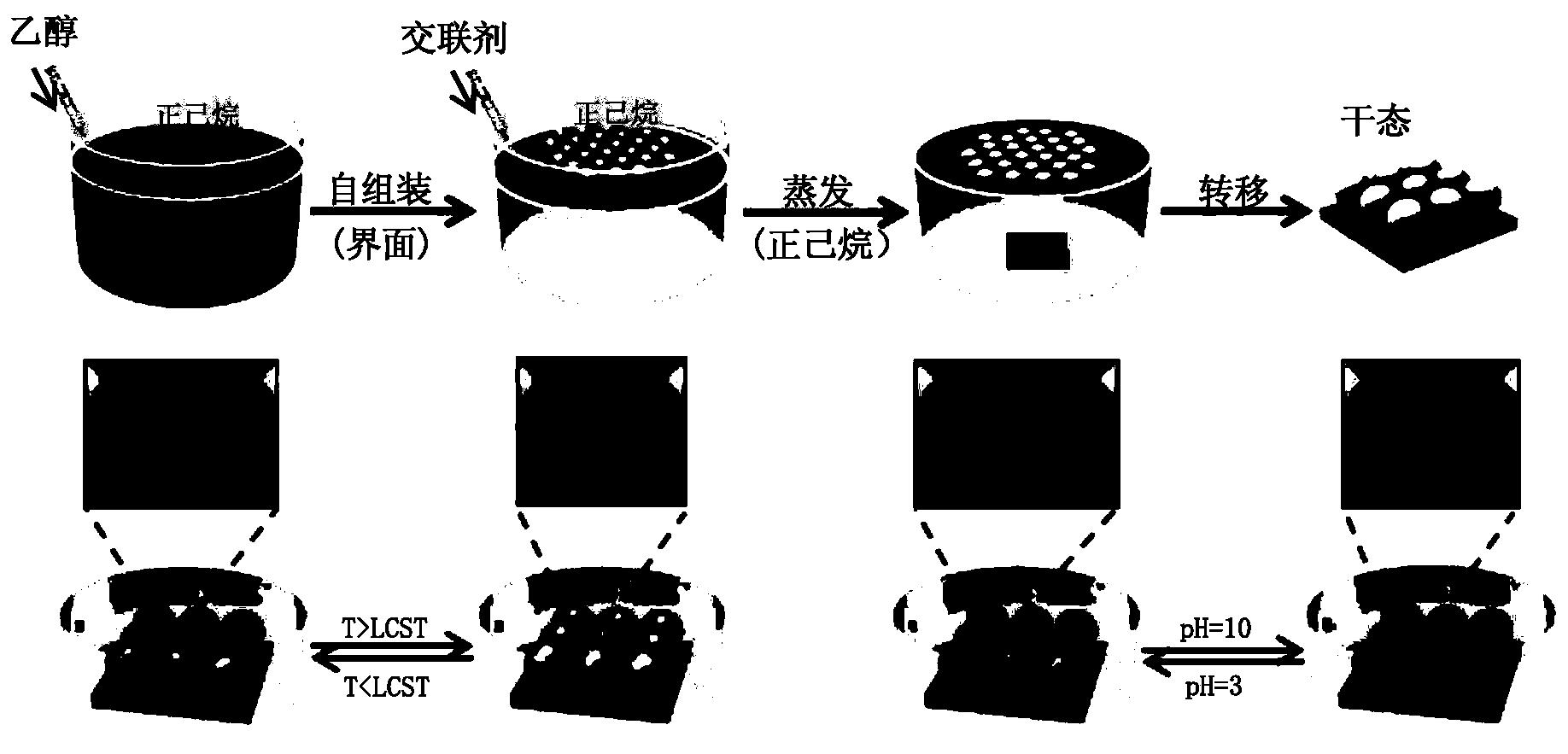 基于SPR转换的双响应金纳米膜、其制备方法及应用