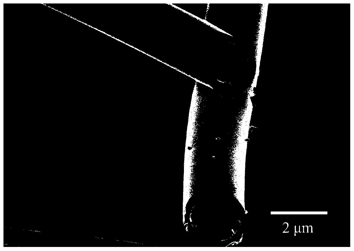 一种碳化硅中空纤维及其制备方法