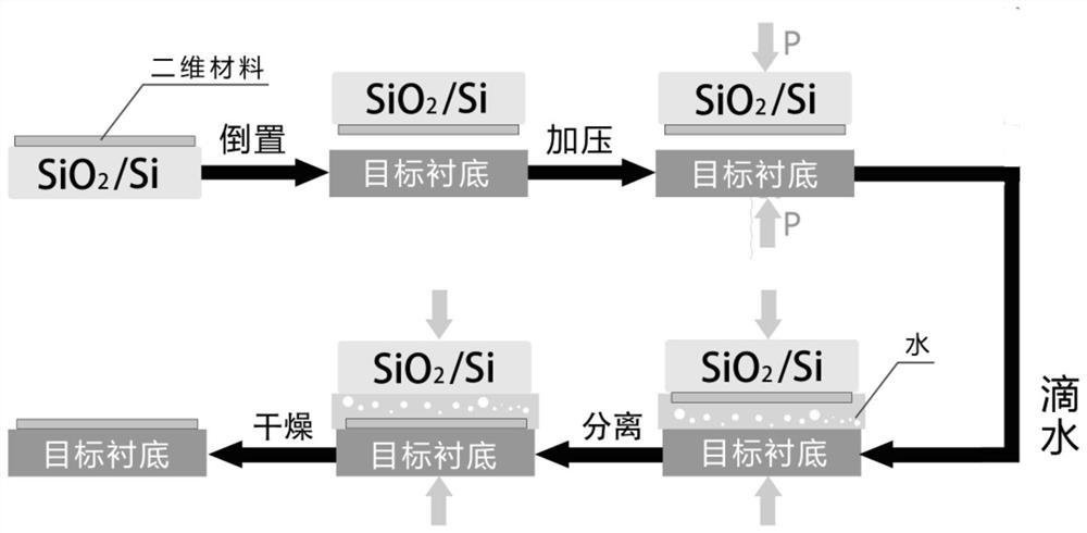 二维材料的转移方法和二维材料及其应用