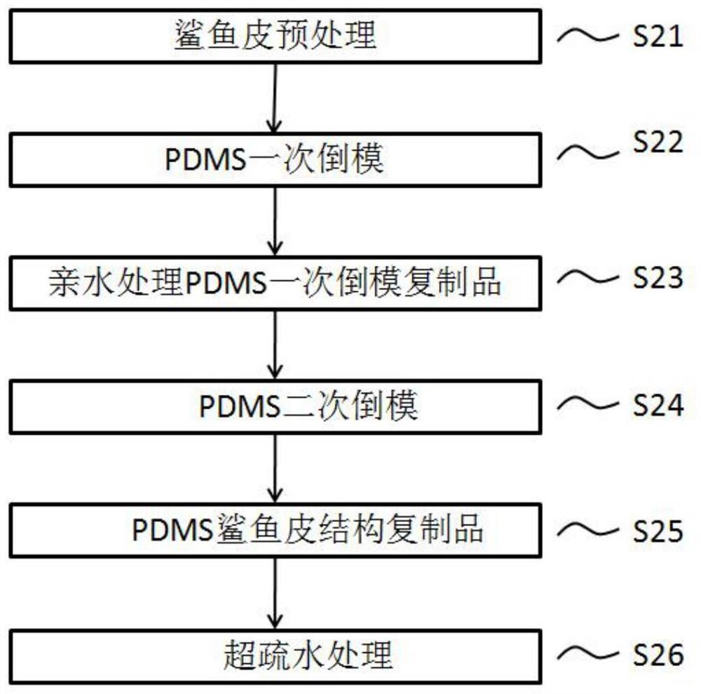 一种基于PDMS仿生鲨鱼皮复制品的超疏水表面及其制备方法