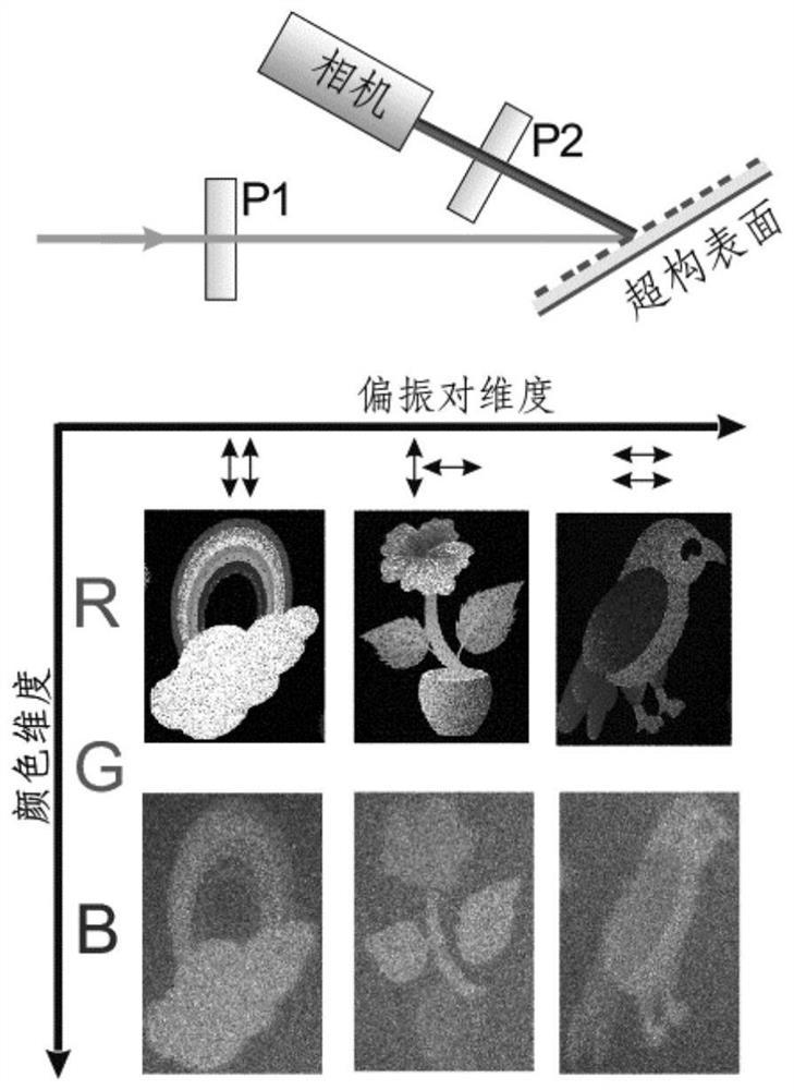 超表面彩色矢量复振幅全息元件