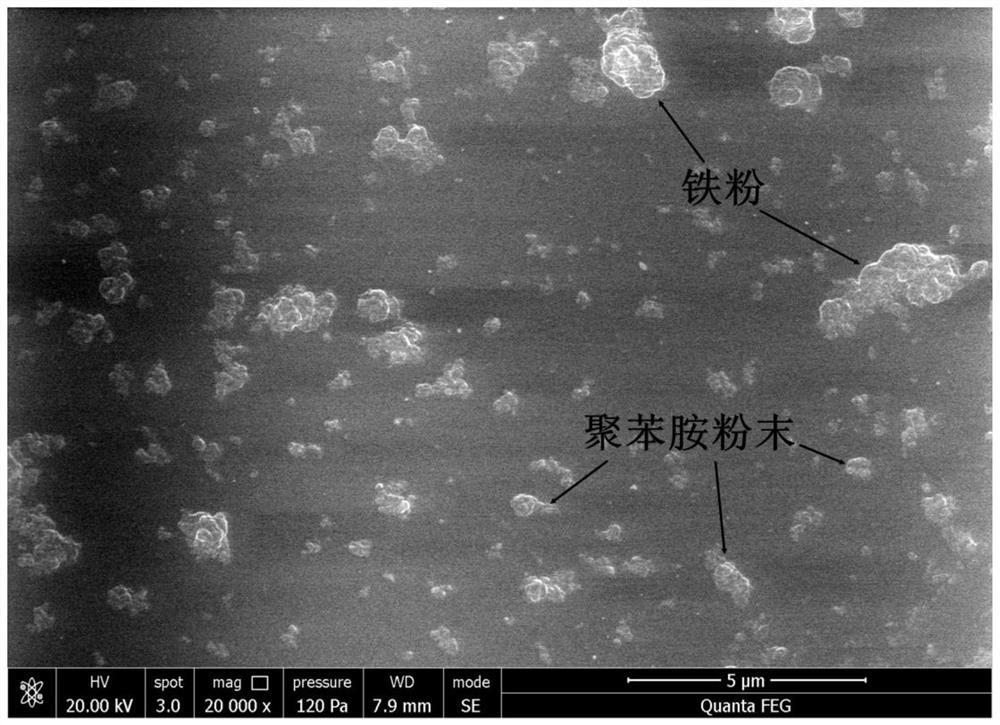 一种镁合金表面导电耐蚀聚苯胺/铁复合涂层及其制备方法