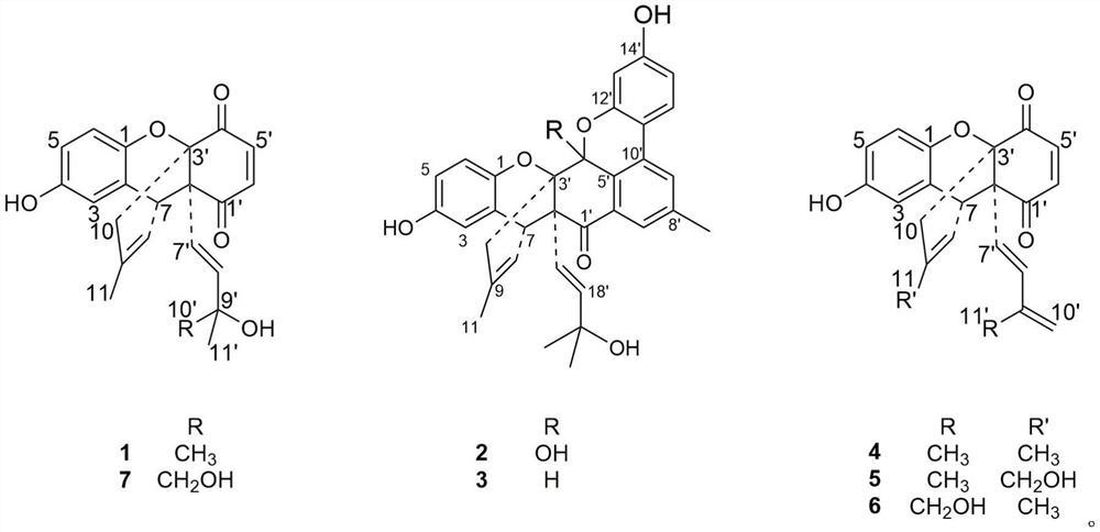 苯醌类衍生物及其制备方法和应用