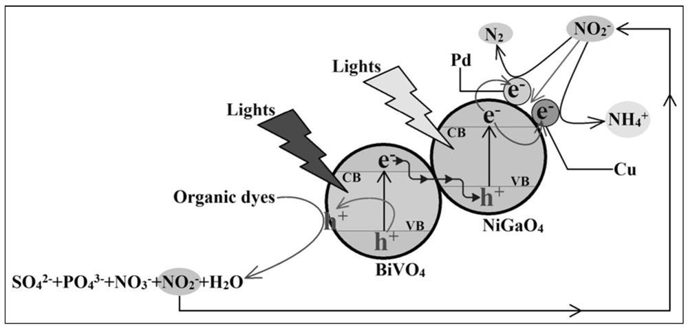 一种具有双助催剂的光催化剂(Cu,Pd)-NiGaO/BiVO及其应用