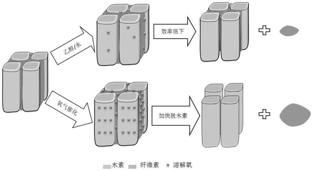 一种利用氧气催化乙醇制备纳米木素的方法及其应用