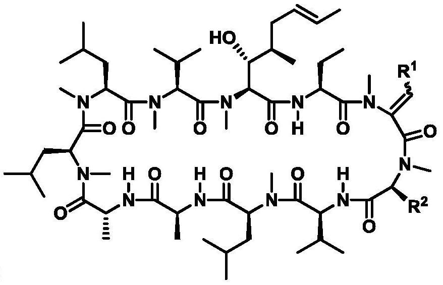 环孢素衍生物的制备方法