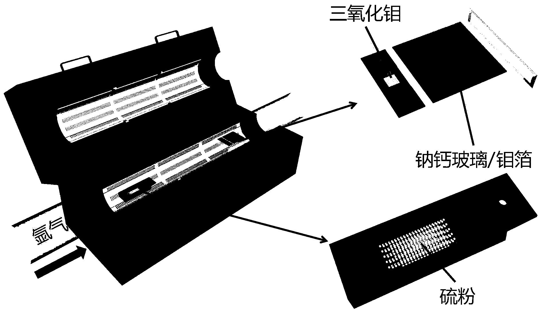 一种大尺寸三层硫化钼单晶的化学气相沉积制备方法