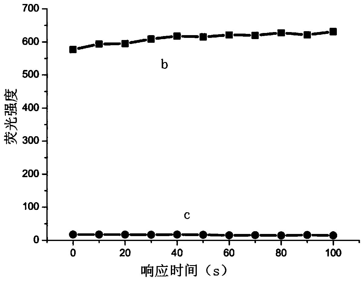 一种荧光探针及其制备方法与应用