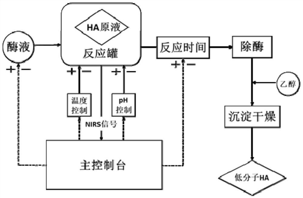 一种基于近红外光谱技术的低分子量透明质酸的制备方法