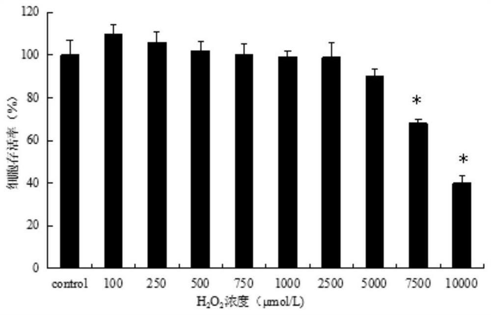 长裂苦苣菜生物碱三级分离物及其分离方法和应用