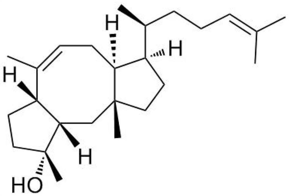 合成二倍半萜蛇孢菌素F的系统和微生物及其应用