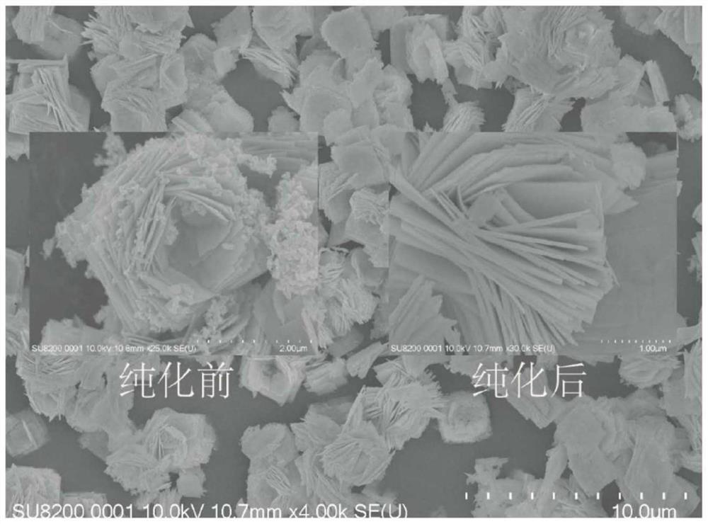 一种水热法合成的钨酸铋杂质测定及钨酸铋纯化方法