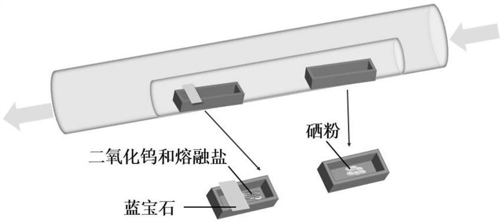 熔融盐辅助化学气相沉积生长多层二硒化钨单晶的方法