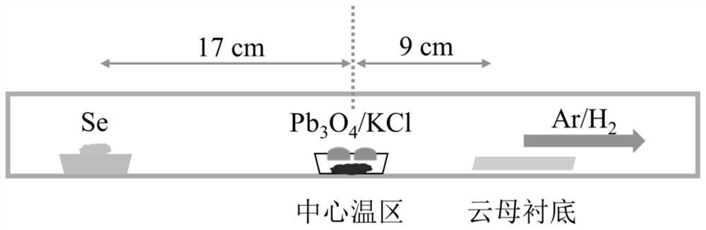 一种非层状二维PbSe晶体材料及其制备方法