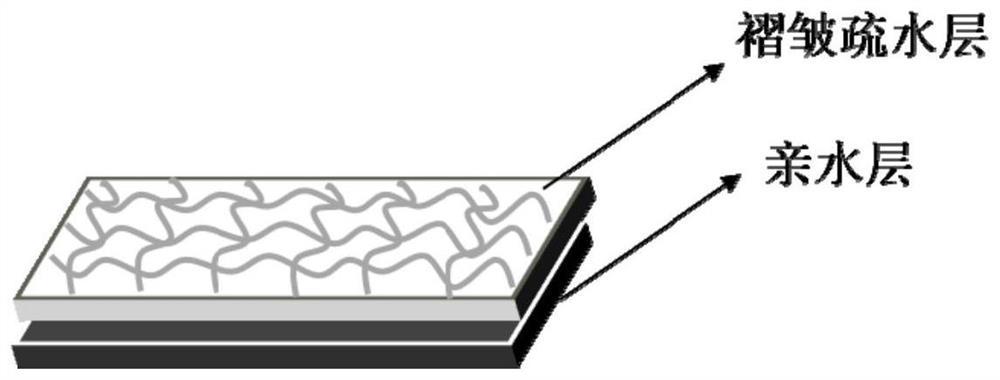 具有褶皱结构的超弹防水透气皮肤敷料及其制备方法