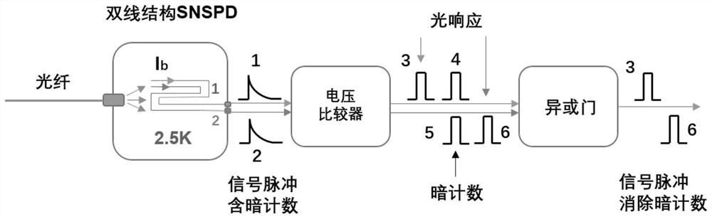 一种基于双线结构消减SNSPD暗计数的设计