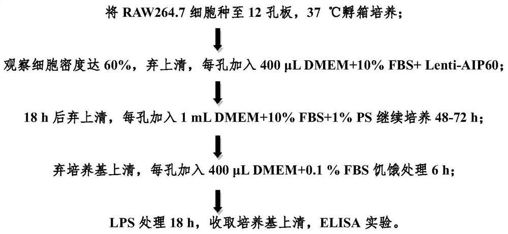 一种多肽及其制药用途