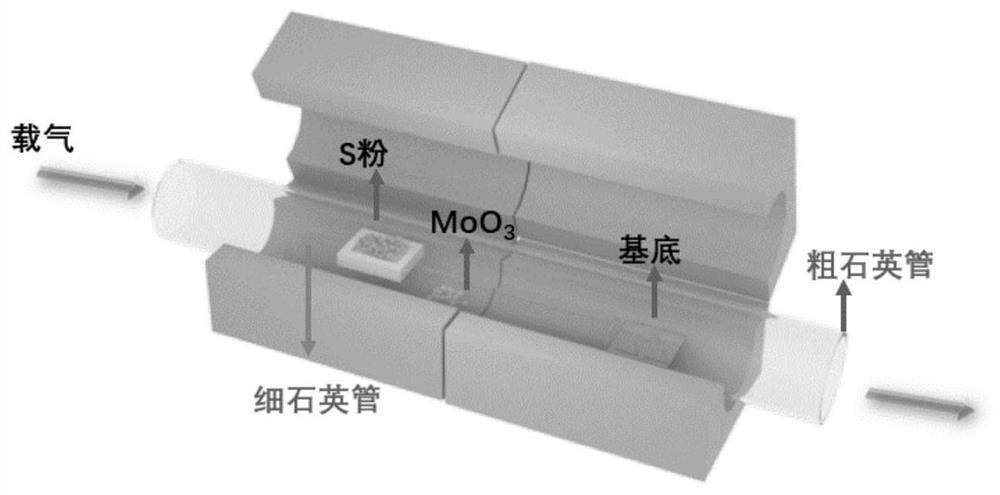 一种利用促进剂生长单层二硫化钼或二硒化钼的方法