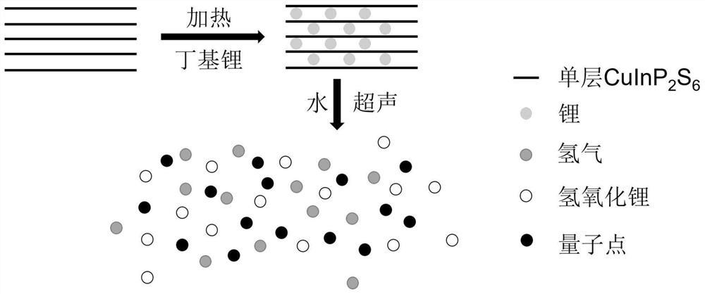 高产率CuInPS量子点的制备